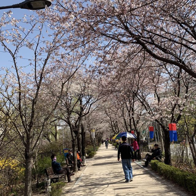 석촌호수만 핫플이랴! 중랑천도 핫플이다!