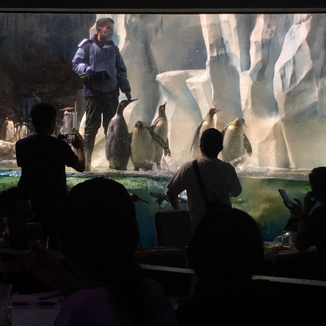 海洋公園生日慢遊