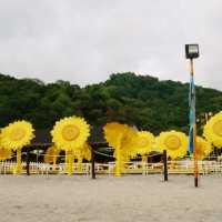 🏖마닐라 근교 여행-비추천 수빅 리조트 samba blue water resort