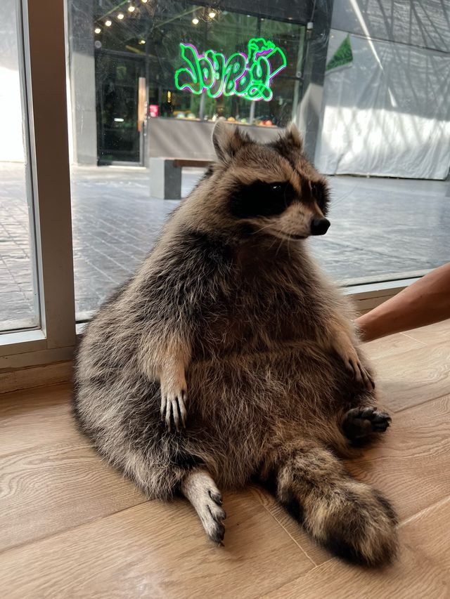動物愛好者天堂