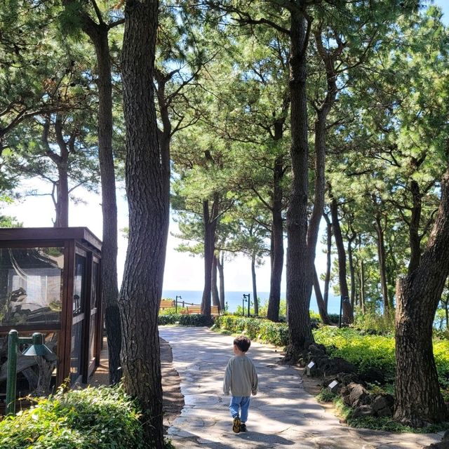🌴제주신라 2박3일 체크아웃 후 전기차 렌트서비스까지!⏰(3탄)