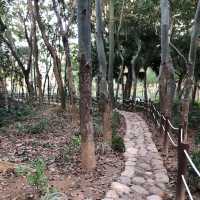 Ma On Shan park with festive decorations 
