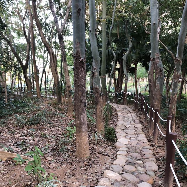 Ma On Shan park with festive decorations 