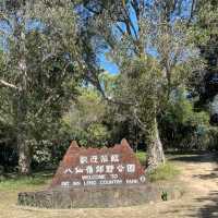 適合親子一齊行既流水響郊遊徑，唔止有湖景，僅需時約2小時就可以來回完成！
