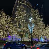 Campus Martius Park - Detroit 