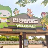 사계절 자연을 느낄 수 있는 유채꽃명소, 안성팜랜드