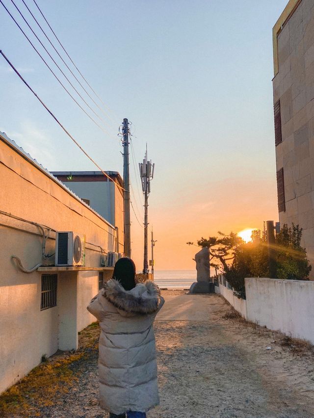 이국적인 서울 근교 겨울바다, 태안 몽산포 해수욕장 🔥