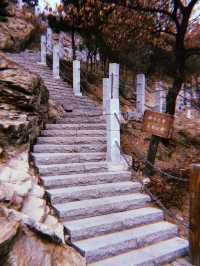 Lantau Peak Yantai 