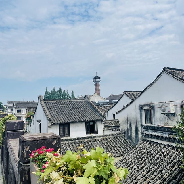 Wildlife in Wuzhen Watertown🌿🌱🦋