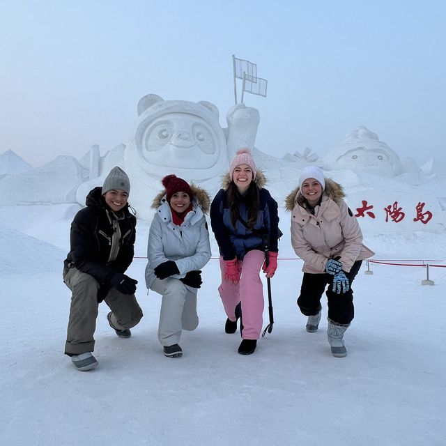 ❄️ Frozen in HARBIN! ❄️