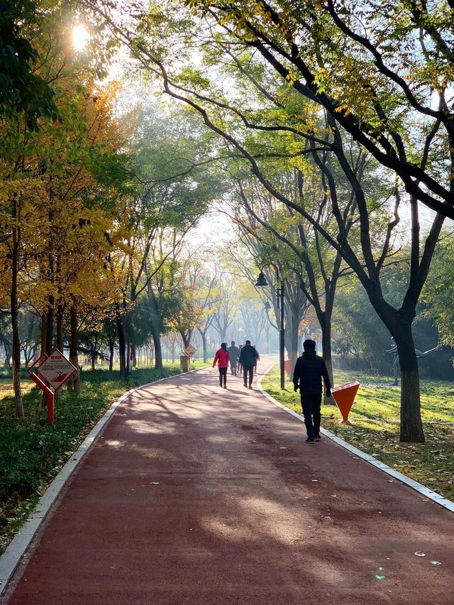 폰카쟁이도 작가로 만들어주는 피사체의 천국, 세기공원(世纪公园)