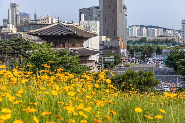 서울 여행지 '흥인지문 공원'
