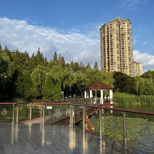 A Very Lively Park in Hongqiao Area