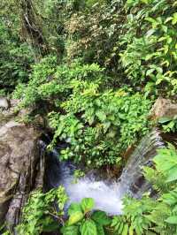 Gunung Nuang - Genting Highland, Malaysia