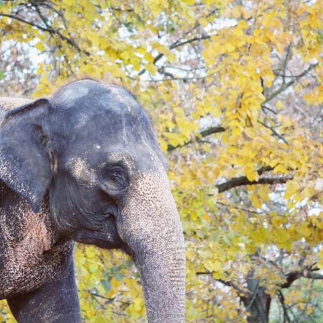 A trip to Stuttgart's Zoo 'Wilhelma'