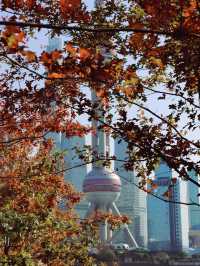 Winter Perspective of the Pearl Tower🧡🍁