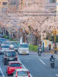 Nakano Ward, Arakawa Yakushi
