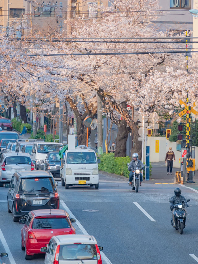 Nakano Ward, Arakawa Yakushi