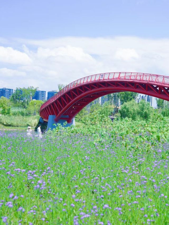 Hidden French park in downtown Fuzhou!!!