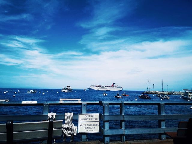 Los Angeles' backyard - Santa Catalina Island.