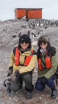 Antarctica | Cross the Drake Passage to the world of penguins