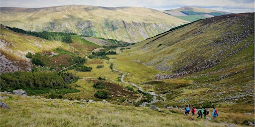 Wicklow Walk for Ages 30+ Age group | The Coach House
