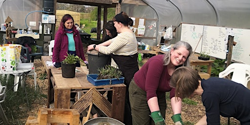 GARDENING FOR BEGINNERS - EASY FRUIT, VEGETABLES AND MORE | Perth Community Farm