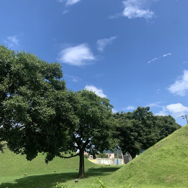 경주 교통수단 추천 