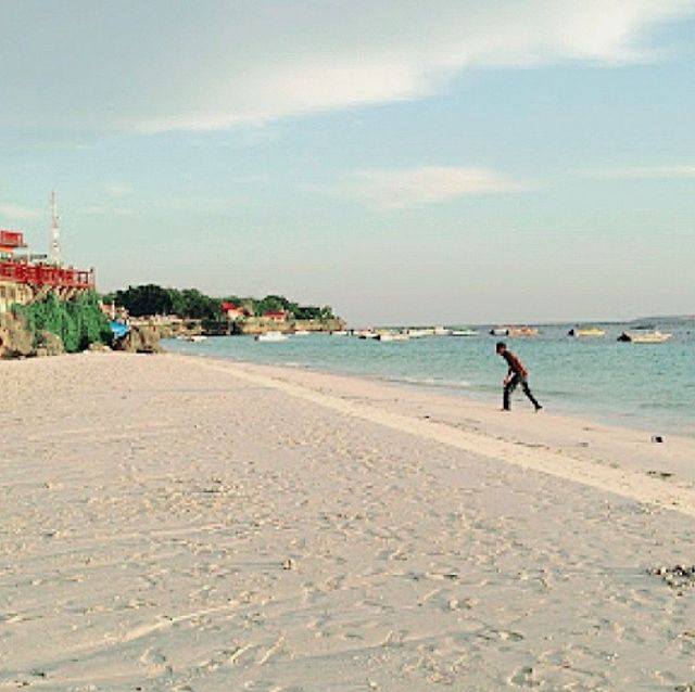 Panda Beach ll Panda Beach ll