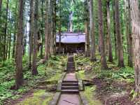 【大自然】清々しく荘厳な雰囲気！？