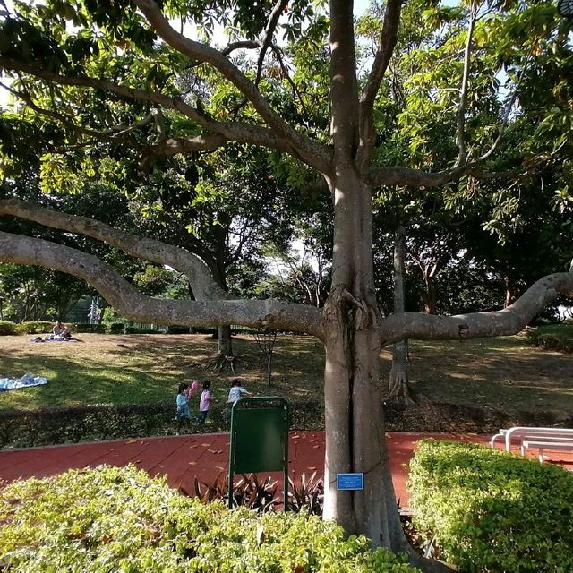 靚靚休閒及野餐好地方