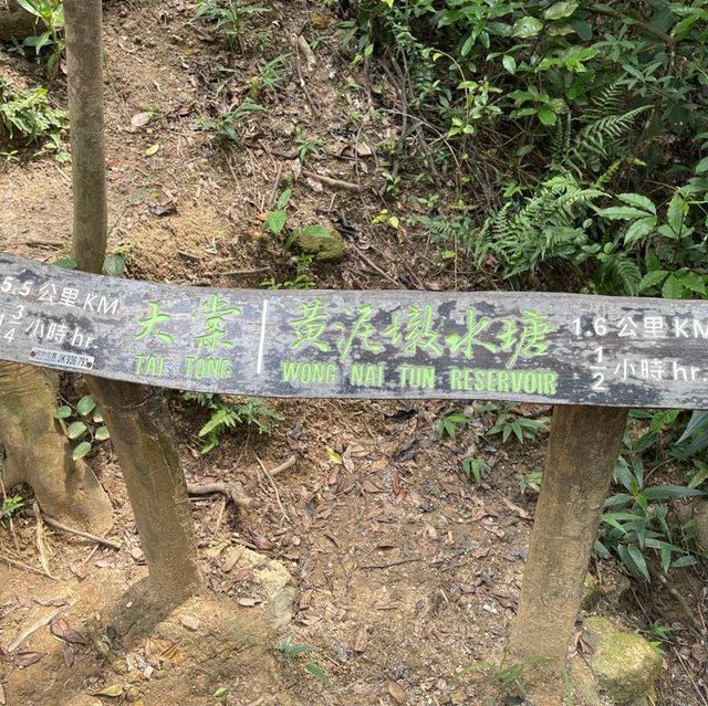 港版千島湖—大欖涌水塘