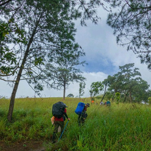 🍃อุทยานแห่งชาติ​ดอยหลวง ดอยหนอก จังหวัดพะเยา🍃