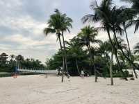 Lazy swing hammocks by the beach