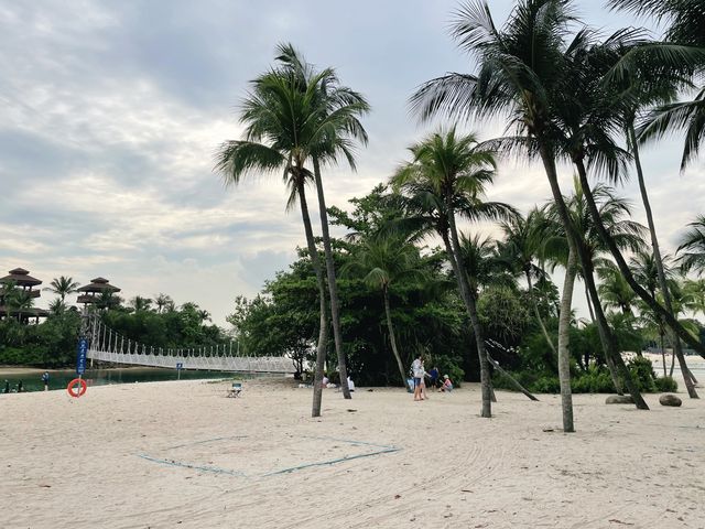 Lazy swing hammocks by the beach