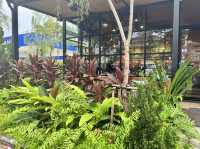 คาเฟ่อเมซอนปลวกแดง