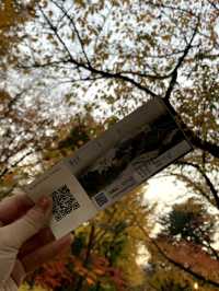 서울 대표 산책 코스, 덕수궁 