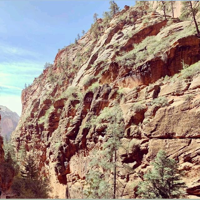 Angel's Landing Trail