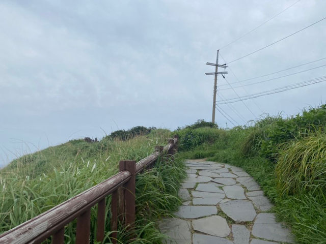 제주도 바다가 보이는 산, 걷는 내내 절경인 송악산 등산 🏃🏻‍♀️