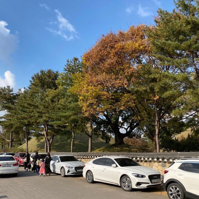 경주 한옥숙소, 황리단길에 있는 셔블