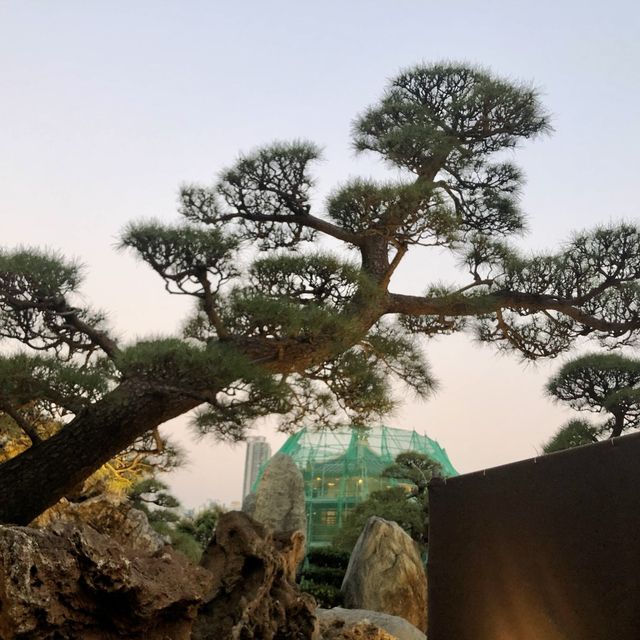 Nan Lian Garden- Serene and Beautiful Garden in the Bustling Hong Kong