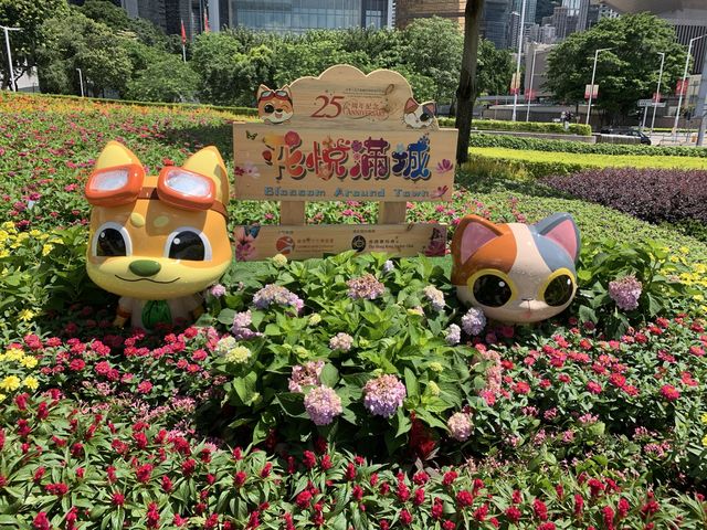 本地遊 | 中環至灣仔海濱漫步 | 藍天白雲下的維港美景