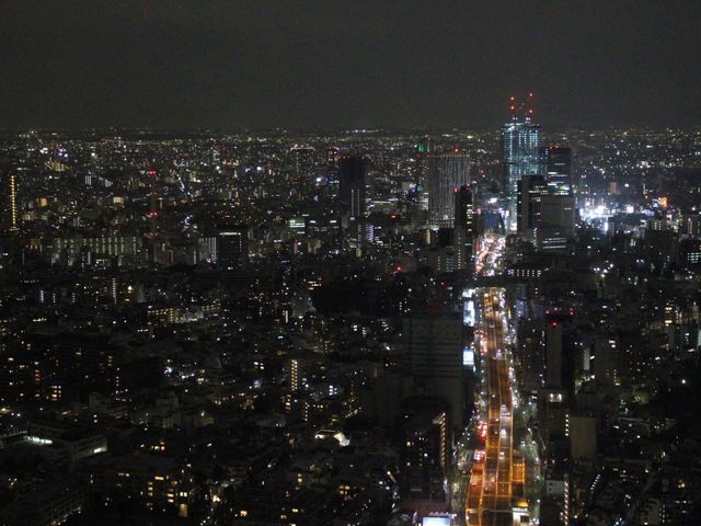 도쿄 최고의 전망대, 롯폰기 전망대