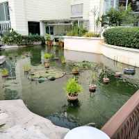Family friendly and business travellers hotel