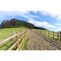 เดินขึ้นมาชมวิวสวยๆ บนยอดเขาซองซา ⛰️🌳🌿🍃