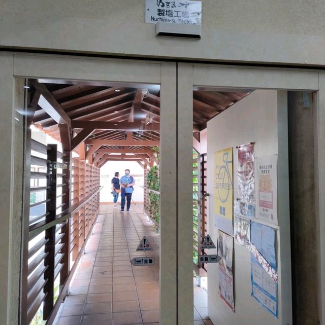 【沖縄 宮城島】ぬちま〜す工場見学✨