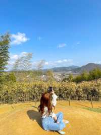시원하고 청량한 공기 마시러~  담양 “죽녹원”🎋