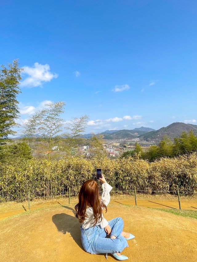 시원하고 청량한 공기 마시러~  담양 “죽녹원”🎋
