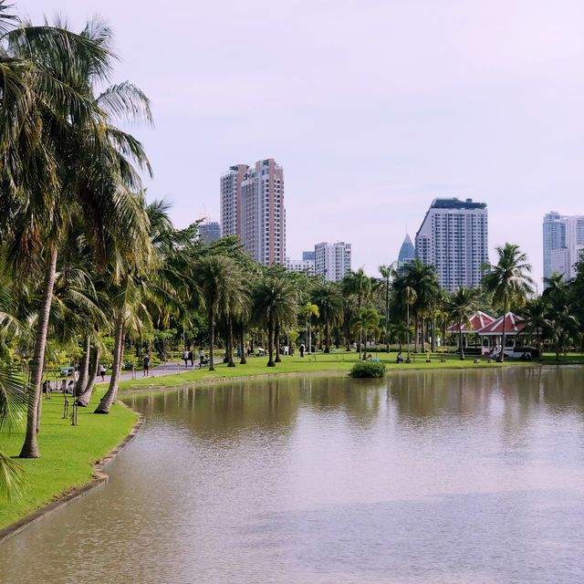 amazing city in Asia 