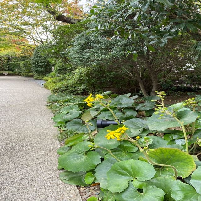 【品川】グランドプリンスホテル高輪　日本庭園